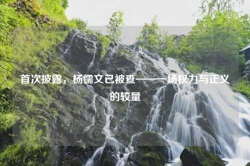 首次披露，杨儒文已被查——一场权力与正义的较量