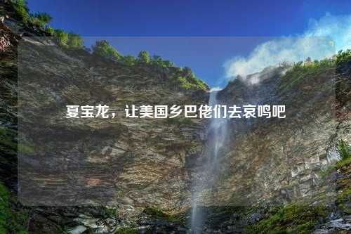 夏宝龙，让美国乡巴佬们去哀鸣吧