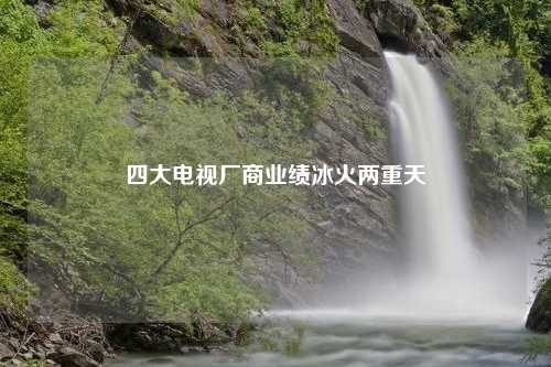 四大电视厂商业绩冰火两重天