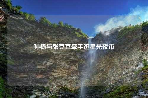 孙杨与张豆豆牵手逛星光夜市