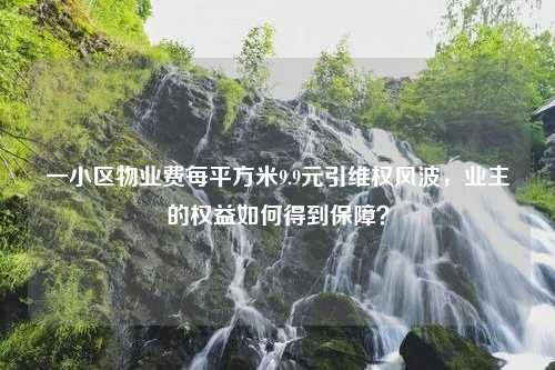 一小区物业费每平方米9.9元引维权风波，业主的权益如何得到保障？