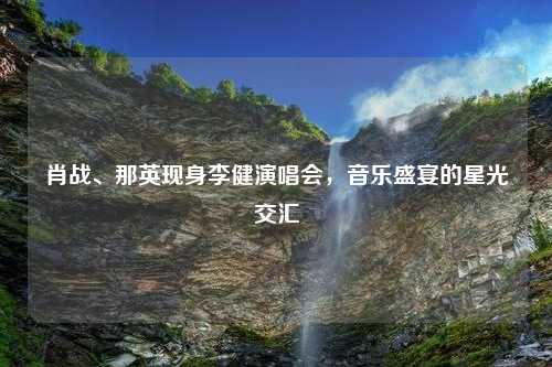 肖战、那英现身李健演唱会，音乐盛宴的星光交汇