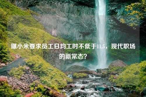 曝小米要求员工日均工时不低于11.5，现代职场的新常态？