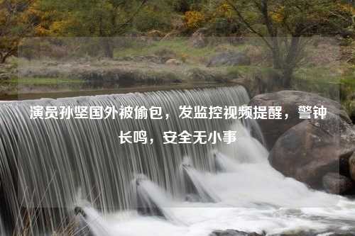 演员孙坚国外被偷包，发监控视频提醒，警钟长鸣，安全无小事