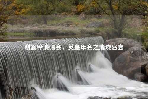 谢霆锋演唱会，英皇年会之璀璨盛宴