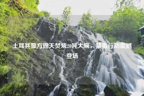 土耳其警方露天焚烧20吨大麻,禁毒行动震撼登场 土耳其警方露天焚烧20吨大麻,禁毒行动震撼登场